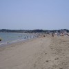 三浦海岸・菊名金田海岸