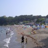2022年三浦半島海水浴場開設状況
